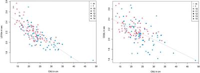 The influence of age and sex on speed–strength performance in children between 10 and 14 years of age